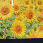 ヒメ日記 2025/06/28 19:16 投稿 千葉 熟女デリヘル倶楽部