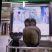 ヒメ日記 2025/06/30 09:21 投稿 千葉 熟女デリヘル倶楽部