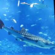 ヒメ日記 2025/06/30 11:37 投稿 千葉 熟女デリヘル倶楽部