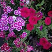 ヒメ日記 2025/07/04 18:42 投稿 千葉 熟女デリヘル倶楽部