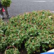 ヒメ日記 2025/07/07 15:06 投稿 千葉 熟女デリヘル倶楽部