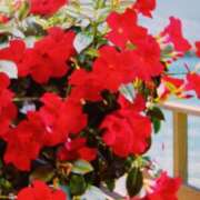 ヒメ日記 2025/07/13 12:04 投稿 千葉 熟女デリヘル倶楽部