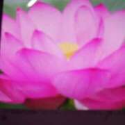 ヒメ日記 2025/07/17 09:40 投稿 千葉 熟女デリヘル倶楽部