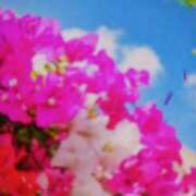 ヒメ日記 2025/07/20 09:13 投稿 千葉 熟女デリヘル倶楽部