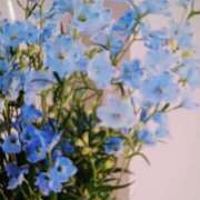 ヒメ日記 2025/07/20 19:36 投稿 千葉 熟女デリヘル倶楽部