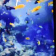 ヒメ日記 2025/07/23 11:16 投稿 千葉 熟女デリヘル倶楽部