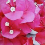 ヒメ日記 2025/07/24 12:35 投稿 千葉 熟女デリヘル倶楽部