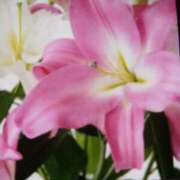 ヒメ日記 2025/07/26 09:43 投稿 千葉 熟女デリヘル倶楽部