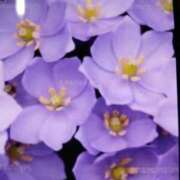 ヒメ日記 2025/07/26 22:29 投稿 千葉 熟女デリヘル倶楽部