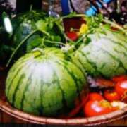 ヒメ日記 2025/07/27 14:06 投稿 千葉 熟女デリヘル倶楽部