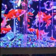 ヒメ日記 2025/07/27 18:10 投稿 千葉 熟女デリヘル倶楽部