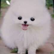 ヒメ日記 2025/08/01 09:44 投稿 千葉 熟女デリヘル倶楽部