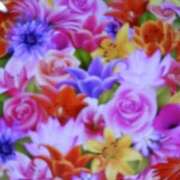 ヒメ日記 2025/08/08 09:10 投稿 千葉 熟女デリヘル倶楽部