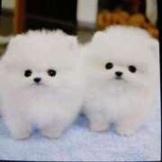 ヒメ日記 2025/08/08 17:21 投稿 千葉 熟女デリヘル倶楽部