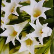 ヒメ日記 2025/08/09 15:53 投稿 千葉 熟女デリヘル倶楽部