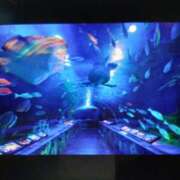 ヒメ日記 2025/09/17 09:58 投稿 千葉 熟女デリヘル倶楽部