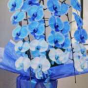 ヒメ日記 2025/09/24 11:56 投稿 千葉 熟女デリヘル倶楽部