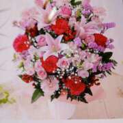 ヒメ日記 2025/09/27 09:13 投稿 千葉 熟女デリヘル倶楽部