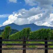 ヒメ日記 2025/08/09 18:19 投稿 あい まじらぶ！