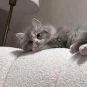 ヒメ日記 2025/12/13 12:52 投稿 あい まじらぶ！