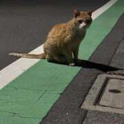 ヒメ日記 2025/07/04 02:45 投稿 いおり 奥様特急　上野・鶯谷店