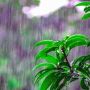 ヒメ日記 2025/07/10 22:55 投稿 早見 HERMINE-エルミネ-