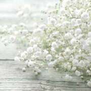 ヒメ日記 2025/07/14 08:28 投稿 早見 HERMINE-エルミネ-