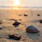 ヒメ日記 2025/07/14 21:05 投稿 早見 HERMINE-エルミネ-