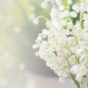 ヒメ日記 2025/08/04 10:43 投稿 早見 HERMINE-エルミネ-