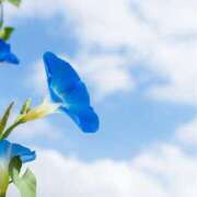 ヒメ日記 2025/08/07 06:27 投稿 早見 HERMINE-エルミネ-