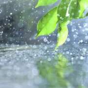 ヒメ日記 2025/08/10 14:25 投稿 早見 HERMINE-エルミネ-