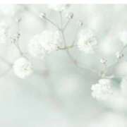 ヒメ日記 2025/08/12 11:30 投稿 早見 HERMINE-エルミネ-