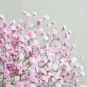 ヒメ日記 2025/08/13 08:50 投稿 早見 HERMINE-エルミネ-