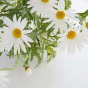 ヒメ日記 2025/08/14 09:17 投稿 早見 HERMINE-エルミネ-