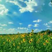 ヒメ日記 2025/08/19 12:18 投稿 早見 HERMINE-エルミネ-