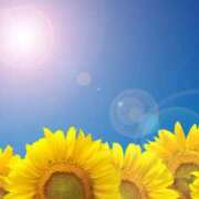 ヒメ日記 2025/08/22 08:38 投稿 早見 HERMINE-エルミネ-