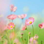 ヒメ日記 2025/09/07 12:30 投稿 早見 HERMINE-エルミネ-