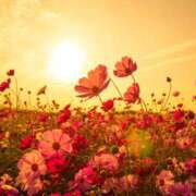 ヒメ日記 2025/09/07 16:41 投稿 早見 HERMINE-エルミネ-