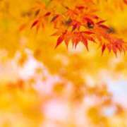 ヒメ日記 2025/09/10 11:51 投稿 早見 HERMINE-エルミネ-