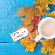 ヒメ日記 2025/09/12 08:48 投稿 早見 HERMINE-エルミネ-