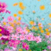 ヒメ日記 2025/09/13 16:28 投稿 早見 HERMINE-エルミネ-