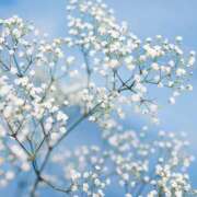 ヒメ日記 2025/09/17 07:15 投稿 早見 HERMINE-エルミネ-