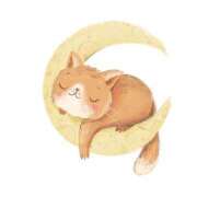 ヒメ日記 2025/10/03 23:03 投稿 早見 HERMINE-エルミネ-