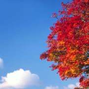 ヒメ日記 2025/10/07 15:15 投稿 早見 HERMINE-エルミネ-