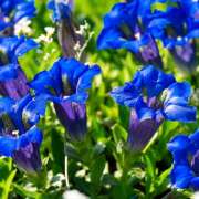 ヒメ日記 2025/10/22 16:25 投稿 早見 HERMINE-エルミネ-