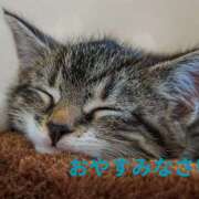 ヒメ日記 2025/10/31 03:59 投稿 早見 HERMINE-エルミネ-