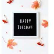 ヒメ日記 2025/11/11 14:50 投稿 早見 HERMINE-エルミネ-