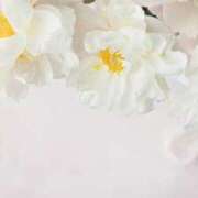 ヒメ日記 2025/11/14 13:17 投稿 早見 HERMINE-エルミネ-