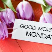 ヒメ日記 2025/11/17 07:52 投稿 早見 HERMINE-エルミネ-