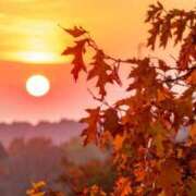 ヒメ日記 2025/11/24 17:53 投稿 早見 HERMINE-エルミネ-